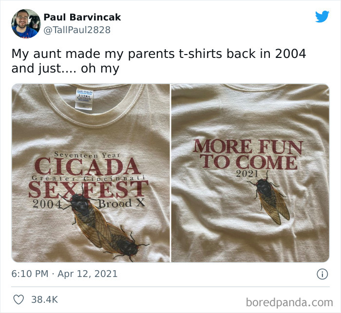 Cicada Sexfest