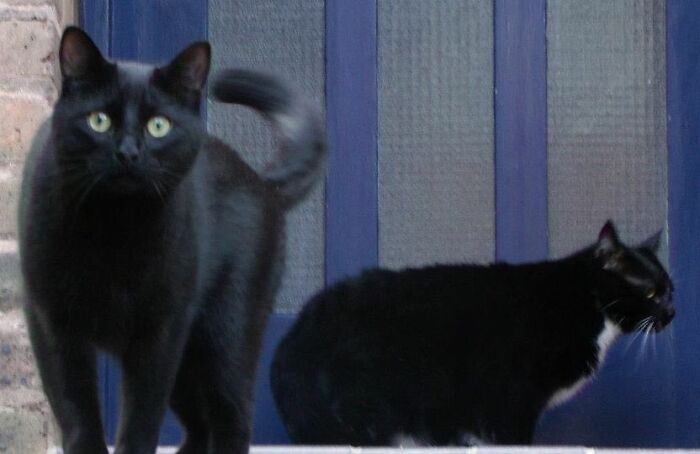 Zoran And Maya Sunshine