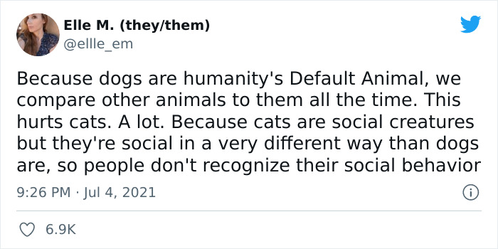 Cat Rescuer Explains How Cat Social Behavior Is Often Misinterpreted By ‘Dog People’ Cat Rescuer Explains How Cat Social Behavior Is Often Misinterpreted By ‘Dog People’