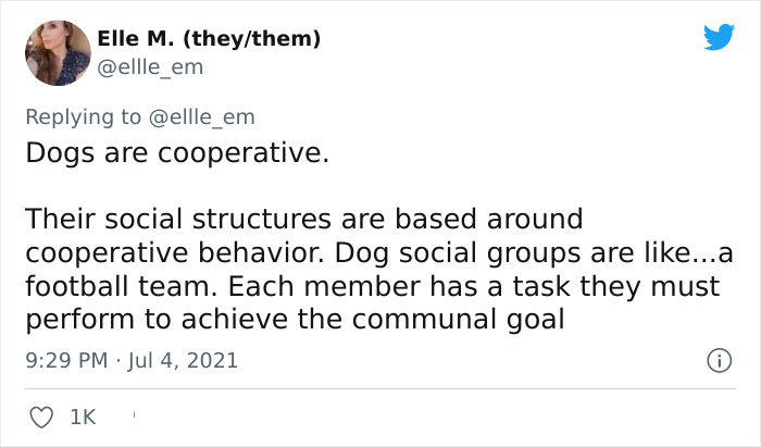 Cat Rescuer Explains How Cat Social Behavior Is Often Misinterpreted By ‘Dog People’ Cat Rescuer Explains How Cat Social Behavior Is Often Misinterpreted By ‘Dog People’