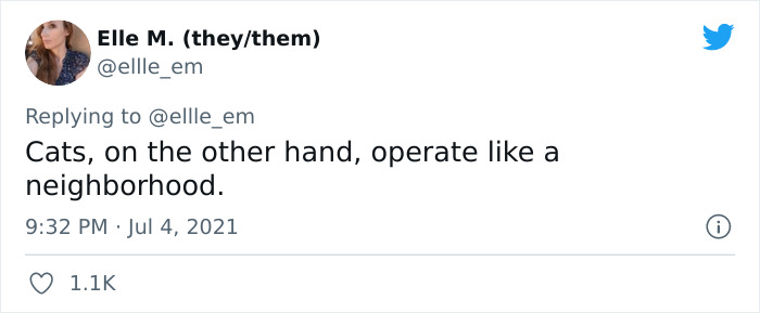 Cat Rescuer Explains How Cat Social Behavior Is Often Misinterpreted By ‘Dog People’ Cat Rescuer Explains How Cat Social Behavior Is Often Misinterpreted By ‘Dog People’