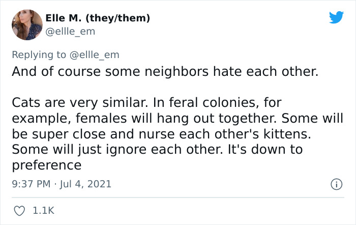 Cat Rescuer Explains How Cat Social Behavior Is Often Misinterpreted By ‘Dog People’ Cat Rescuer Explains How Cat Social Behavior Is Often Misinterpreted By ‘Dog People’