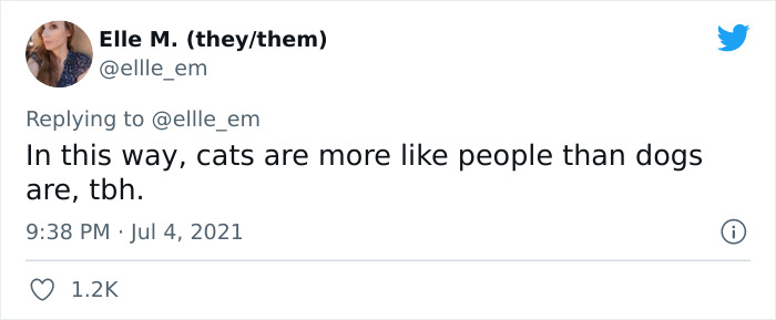 Cat Rescuer Explains How Cat Social Behavior Is Often Misinterpreted By ‘Dog People’