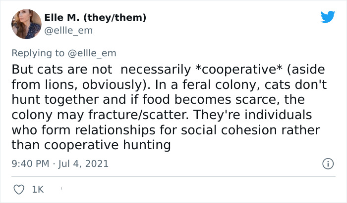 Cat Rescuer Explains How Cat Social Behavior Is Often Misinterpreted By ‘Dog People’ Cat Rescuer Explains How Cat Social Behavior Is Often Misinterpreted By ‘Dog People’