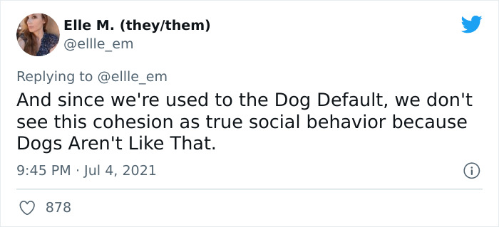 Cat Rescuer Explains How Cat Social Behavior Is Often Misinterpreted By ‘Dog People’ Cat Rescuer Explains How Cat Social Behavior Is Often Misinterpreted By ‘Dog People’