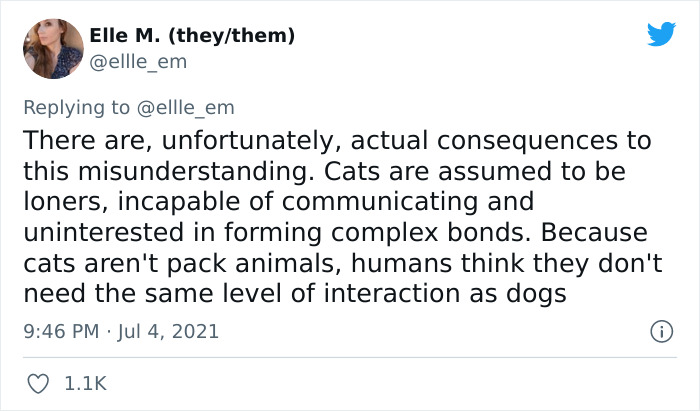 Cat Rescuer Explains How Cat Social Behavior Is Often Misinterpreted By ‘Dog People’ Cat Rescuer Explains How Cat Social Behavior Is Often Misinterpreted By ‘Dog People’