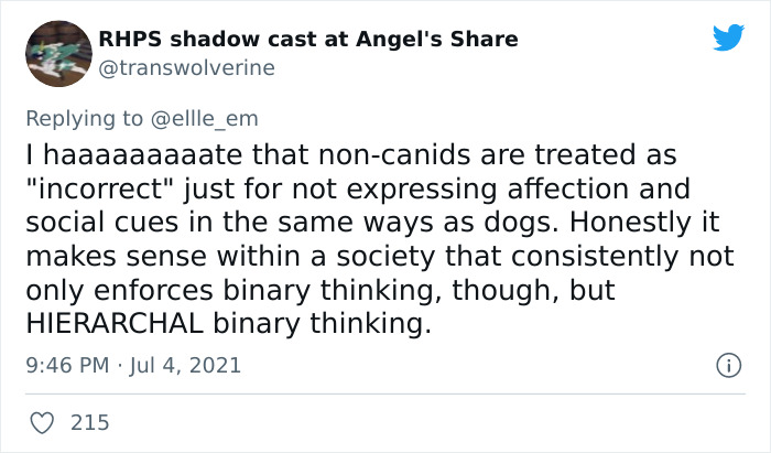 Cat Rescuer Explains How Cat Social Behavior Is Often Misinterpreted By ‘Dog People’ Cat Rescuer Explains How Cat Social Behavior Is Often Misinterpreted By ‘Dog People’