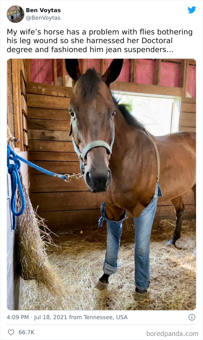 Cute-Wholesome-Blessed-Pics