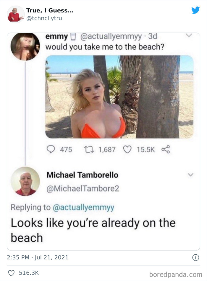 Technically-True-Things