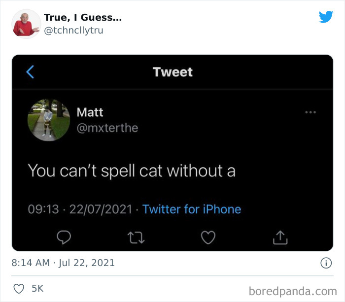 Technically-True-Things