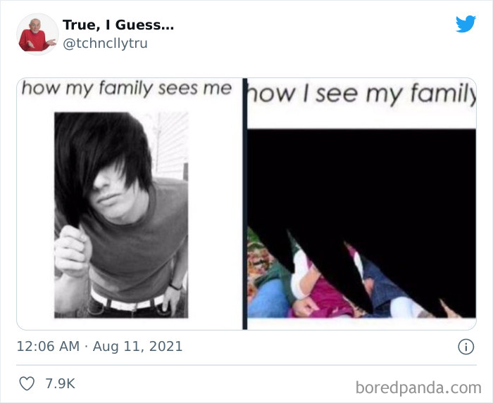 Technically-True-Things