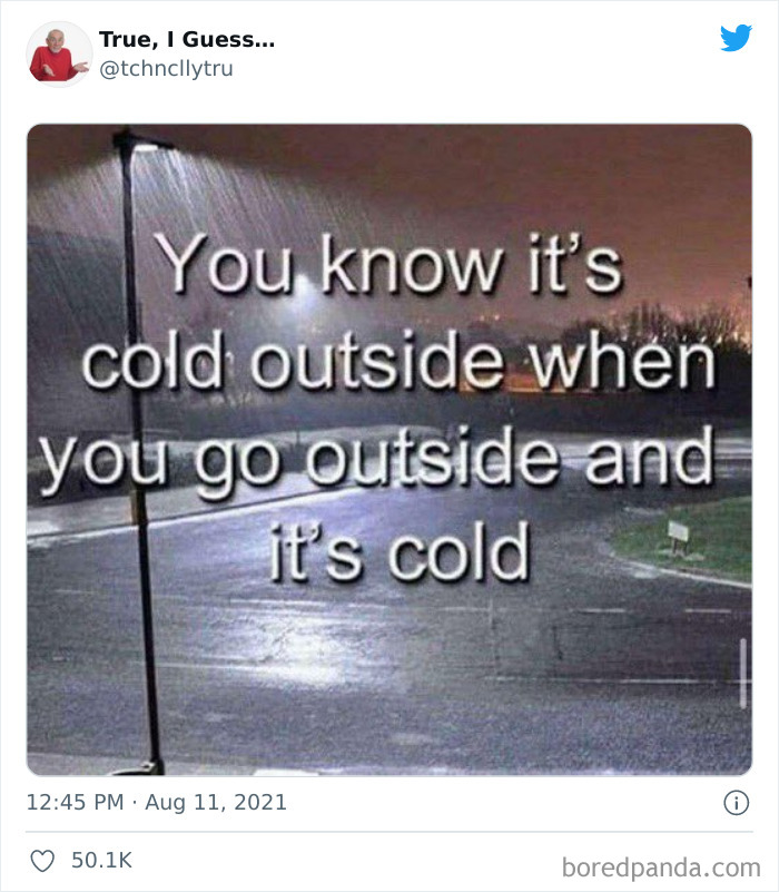 Technically-True-Things