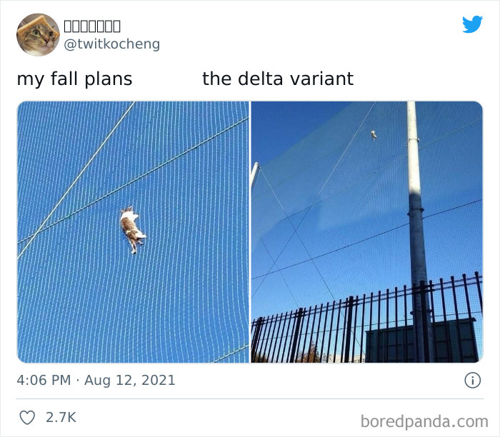My-Fall-Plans-vs.-Delta-Variant-Tweets