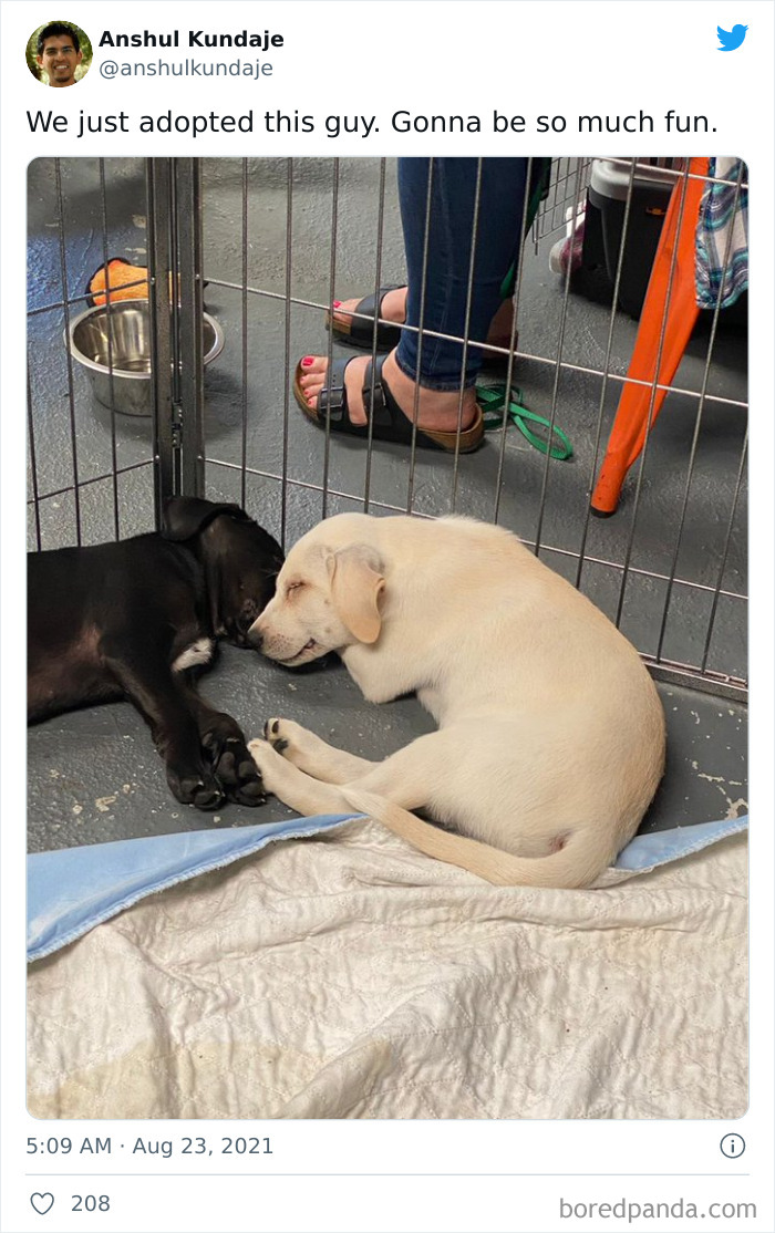 Gonna Be So Much Fun