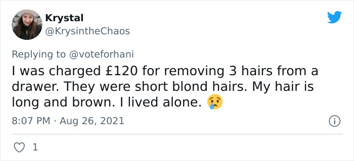 Viral Video Captures Landlord Complaining About "Filthy" Apartment When It's Clearly Spotless Viral Video Captures Landlord Complaining About "Filthy" Apartment When It's Clearly Spotless