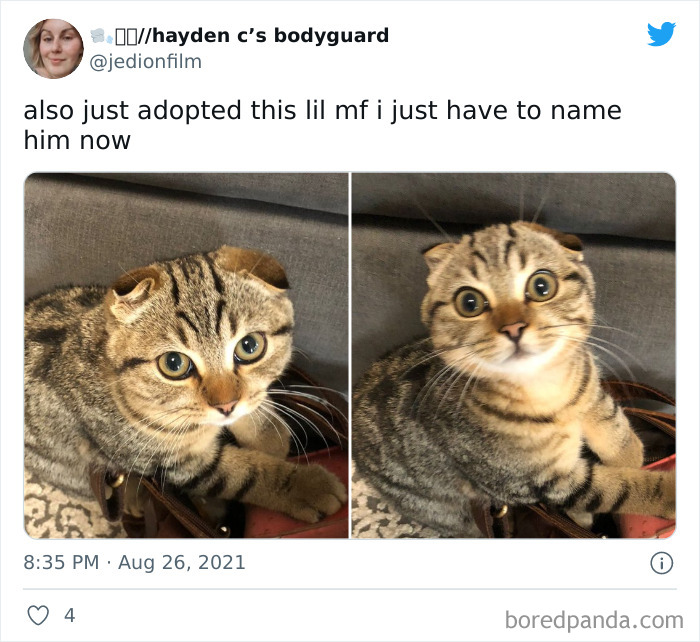 I Just Have To Name Him Now