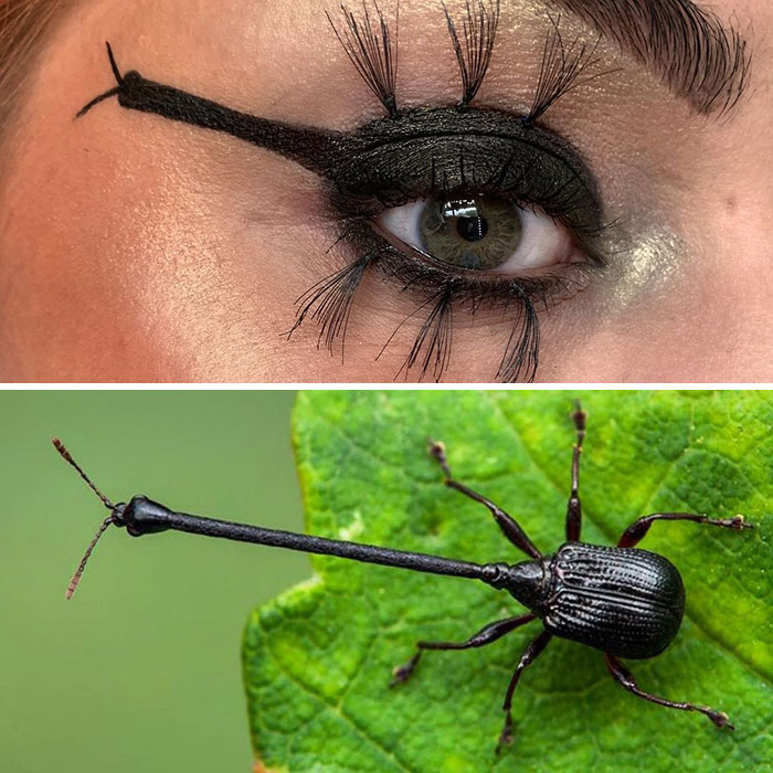 Bug-Inspired-Eye-Makeup-Duran-Jay-Entomakeup