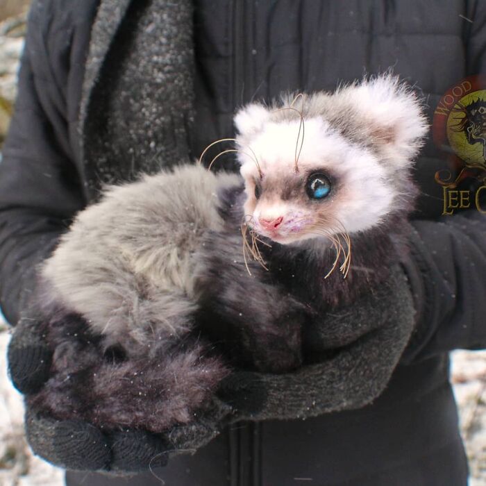 Meet Lee Cross's "Living" Sculptures (135 Pics)