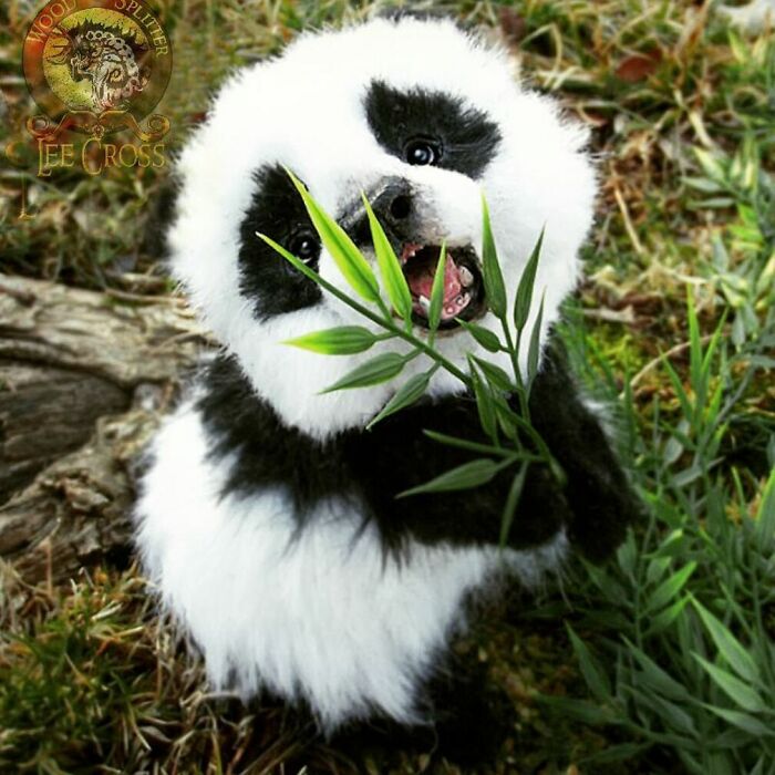 Meet Lee Cross's "Living" Sculptures (135 Pics)