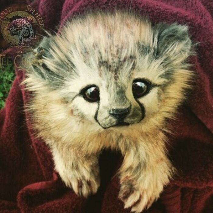 Meet Lee Cross's "Living" Sculptures (135 Pics)