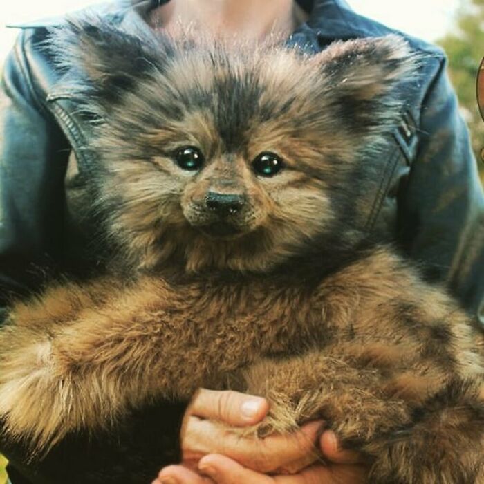 Meet Lee Cross's "Living" Sculptures (135 Pics)