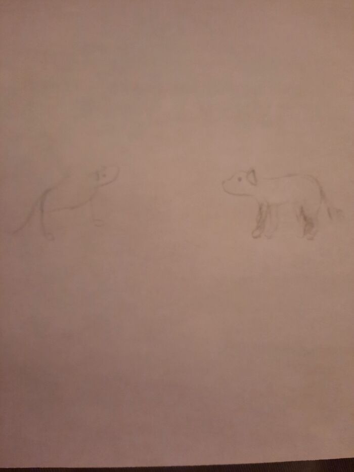 5 Second vs. 5 Minute Dog