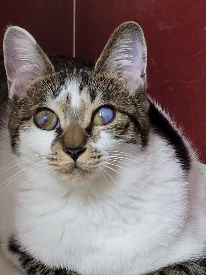 Maja, Who We Brought From The Shelter