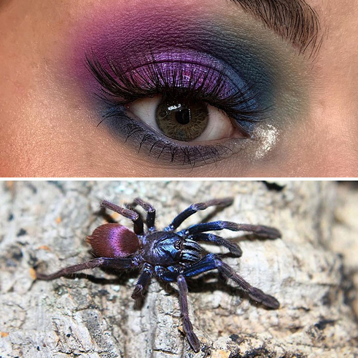 Bug-Inspired-Eye-Makeup-Duran-Jay-Entomakeup