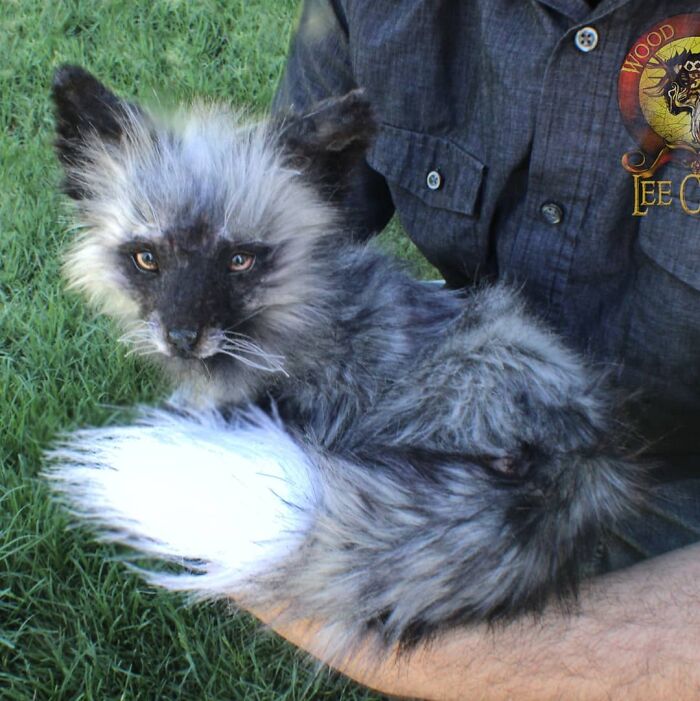 Meet Lee Cross's "Living" Sculptures (135 Pics)