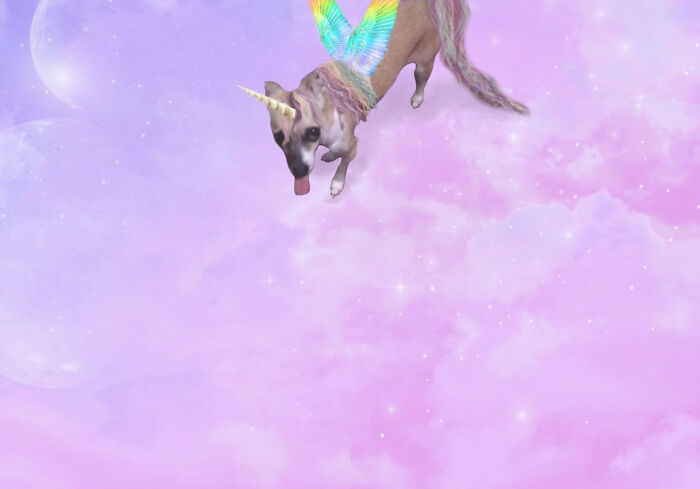 I Tried My Best! 😅✨🦄☁️