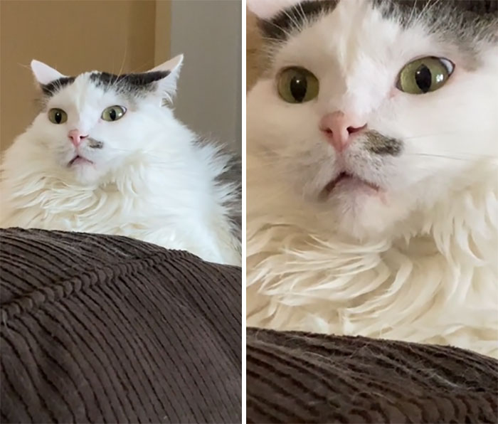 She Zones Out Like This Frequently