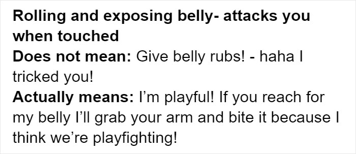 Cat Rescuer Explains How Cat Social Behavior Is Often Misinterpreted By ‘Dog People’ Cat Rescuer Explains How Cat Social Behavior Is Often Misinterpreted By ‘Dog People’