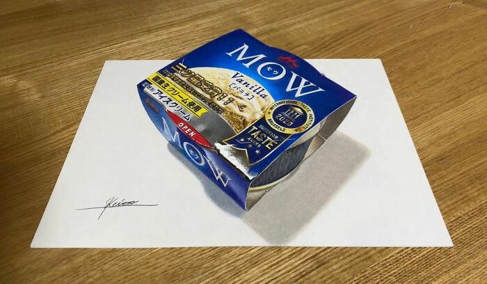Artist Materializes Everyday Objects And Transforms Them Into Incredible 3D Drawings (29 Pics)
