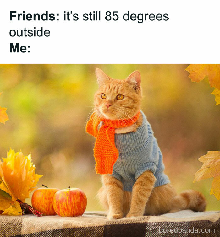 People-Who-Hate-Summer-Cant-Wait-For-Fall