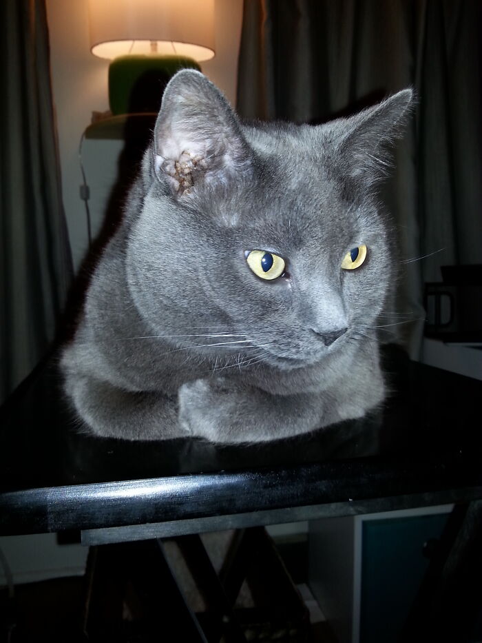 I'm Not Looking At You.