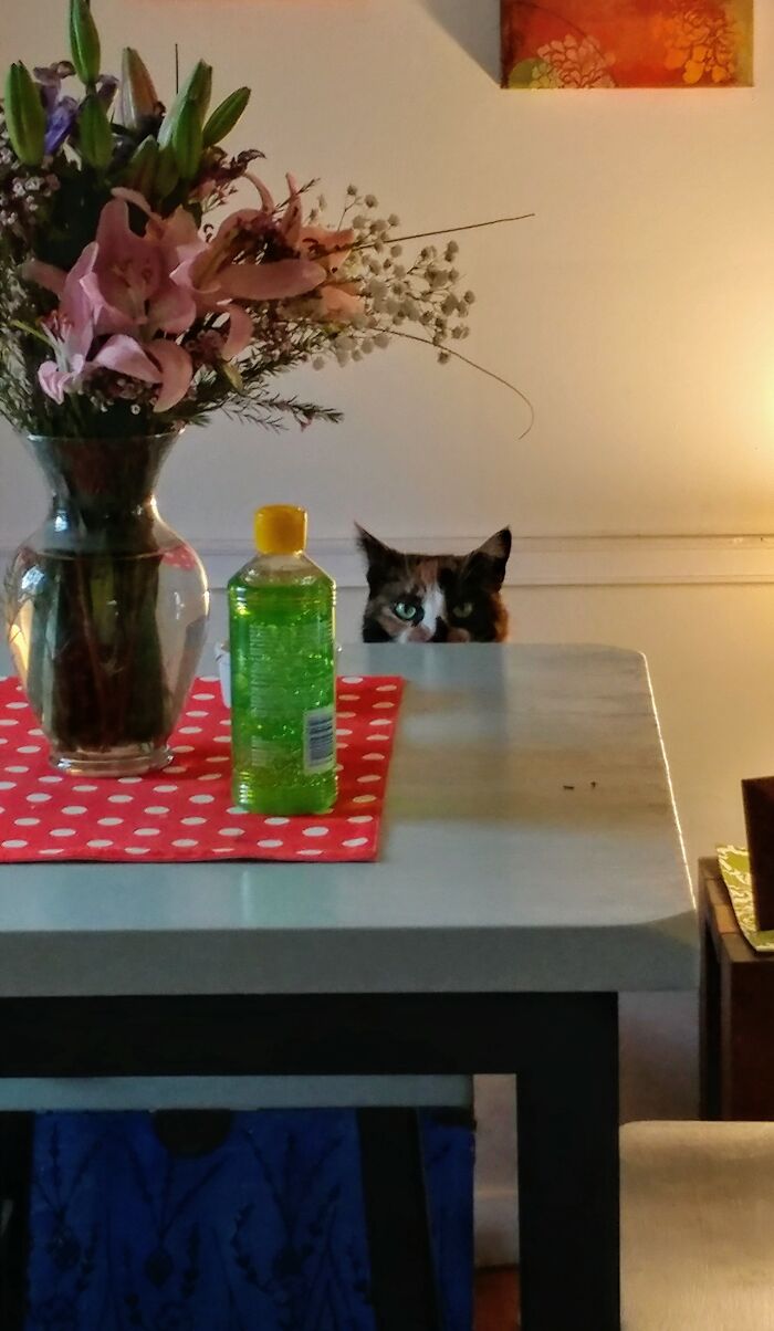 I Don't Sleep Really Well After This...