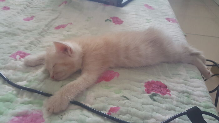 My Roommate Got Home From Work Be Like...