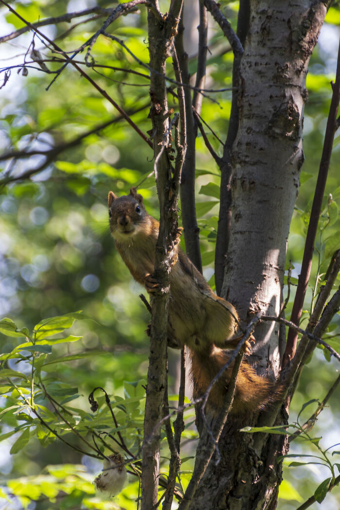 You Are In My Territory