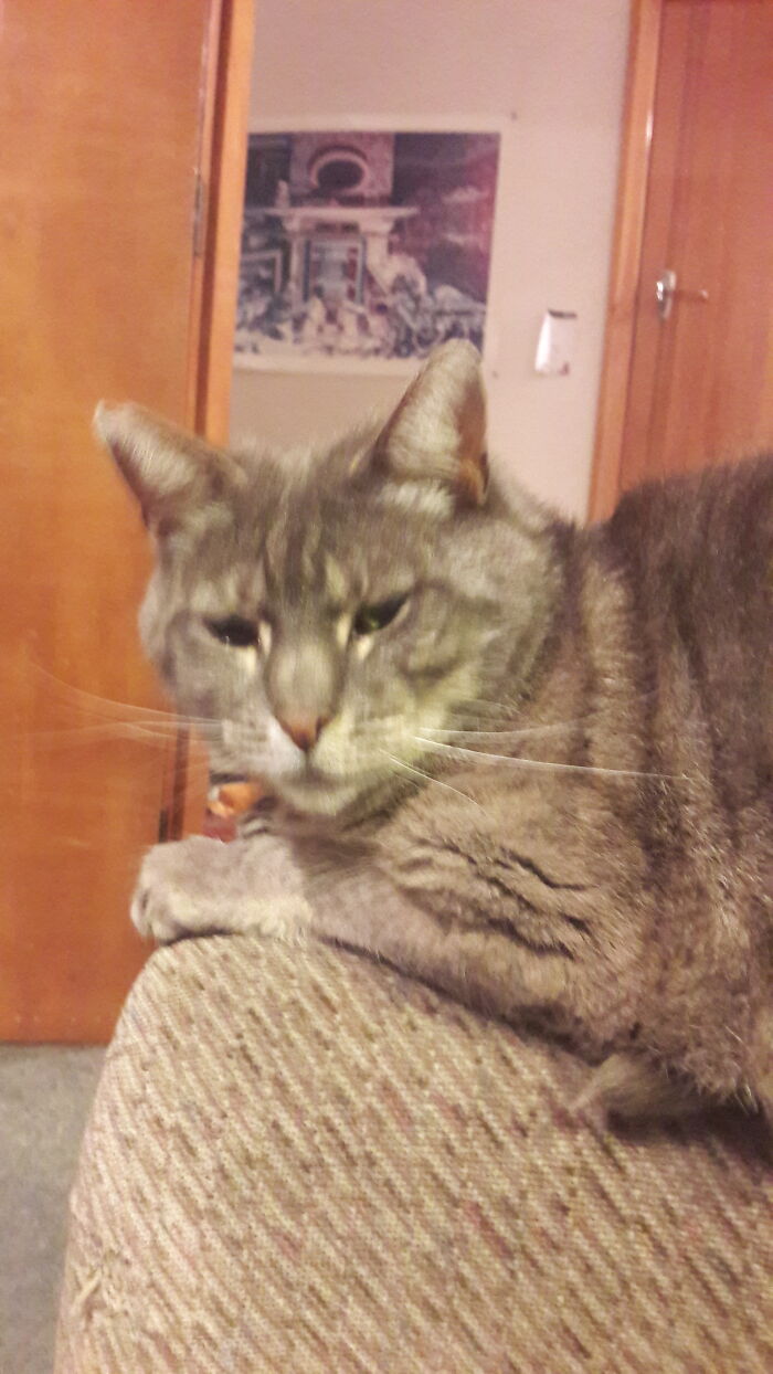 You Woke Me Up For This?!