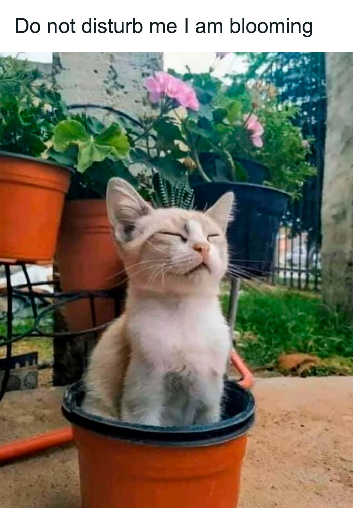 Cute-Wholesome-Blessed-Pics