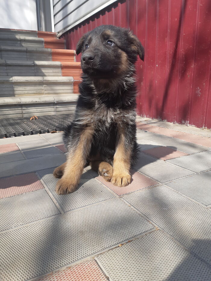 The First Day In A New House