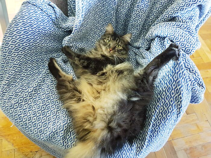 This Is Fredi, Caught Doing Split In The Middle Of Playing