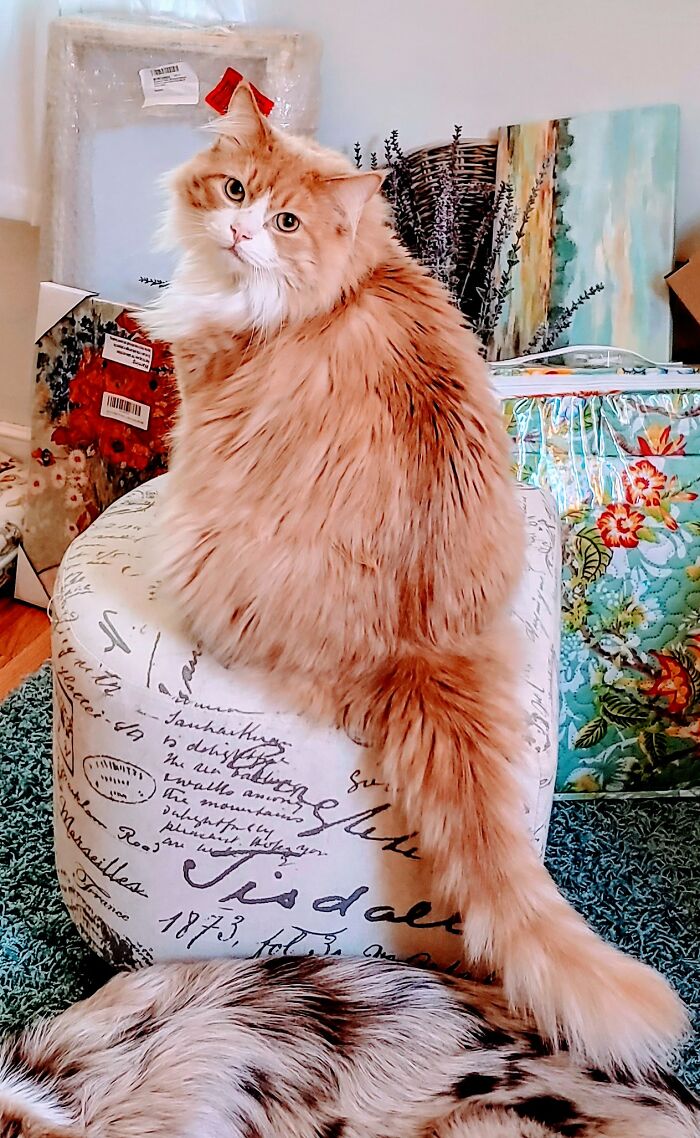 Hey Everybody, Come See How Good I Look!