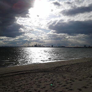 truebluecanadian2021_1 avatar