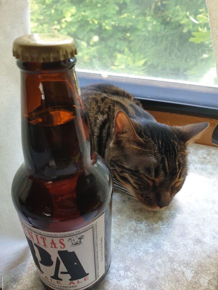 If Only She'd Stay Off The Drink