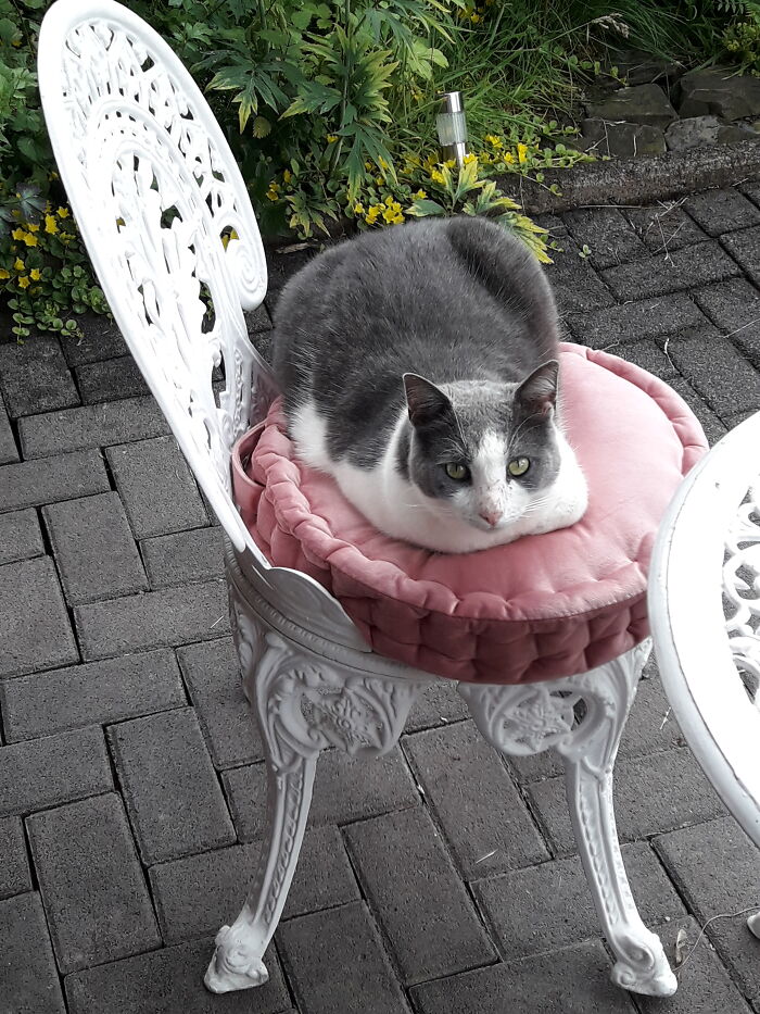 My Only Boy With His Constantly Scratched Nose - Won't Stop Fighting With The Four Girls!