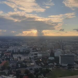 dustylavender22 avatar