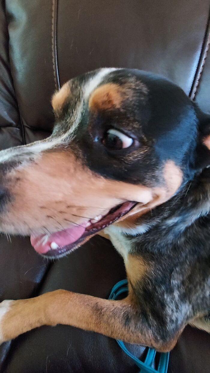 Did Santa Just Walk By?