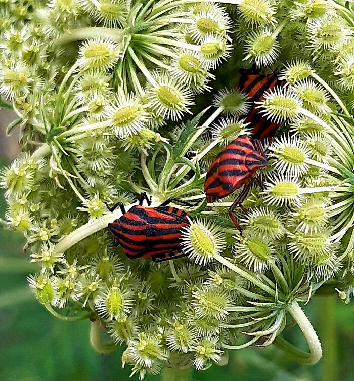 Pajama Party Is Over