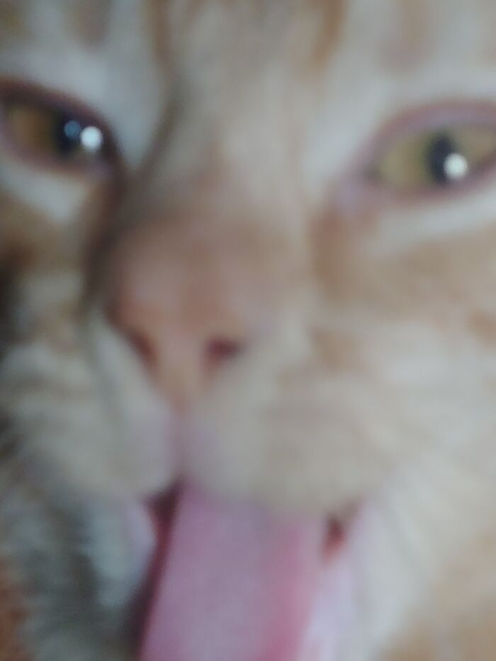 Trying To Get A Normal Close Up Is So Hard